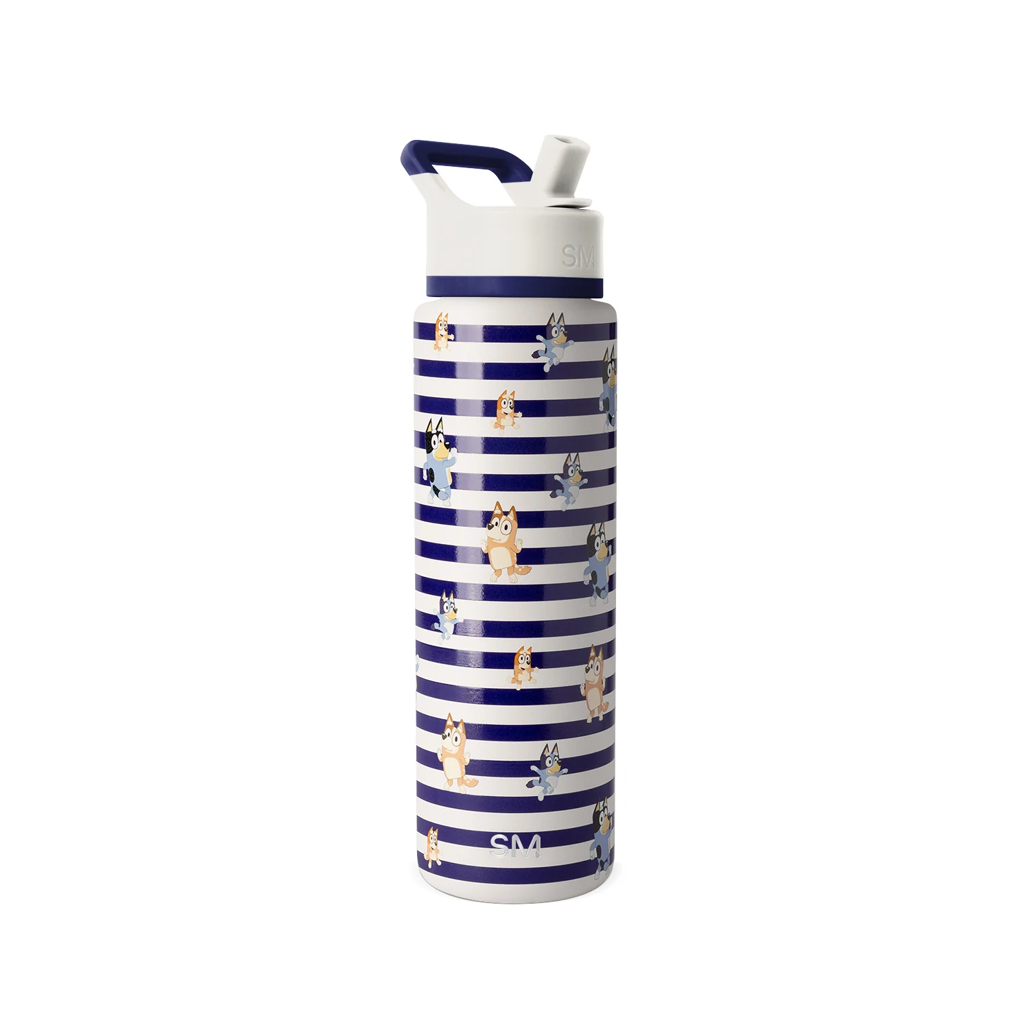 Simple Modern Summit Water Bottle with Straw Lid - 30oz Bluey Stripes